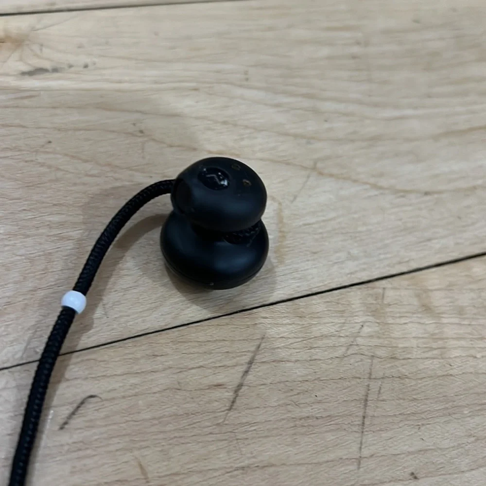 Google Earbud Headphones